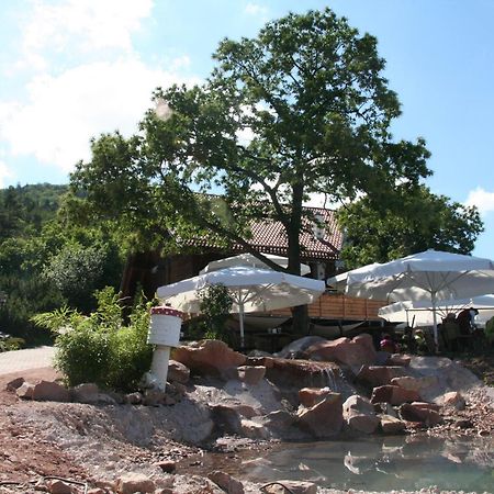Kastanienhof Apartment Hotel Dannenfels Dış mekan fotoğraf