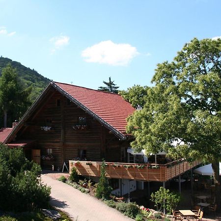 Kastanienhof Apartment Hotel Dannenfels Dış mekan fotoğraf