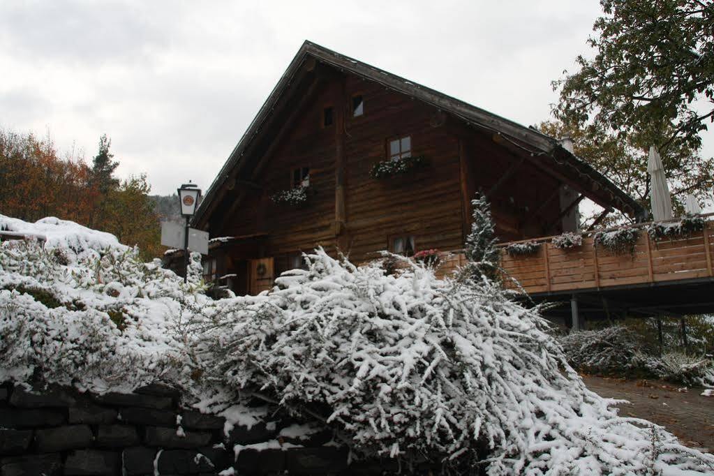 Kastanienhof Apartment Hotel Dannenfels Dış mekan fotoğraf